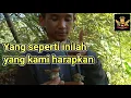 Lagu Mikat Burung Prenjak Kepala Merah || Pemikat Burung Pasti Iri Melihat Ini