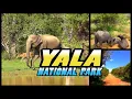 Download Lagu YALA NATIONAL PARK Safari - Sri Lanka (4k)