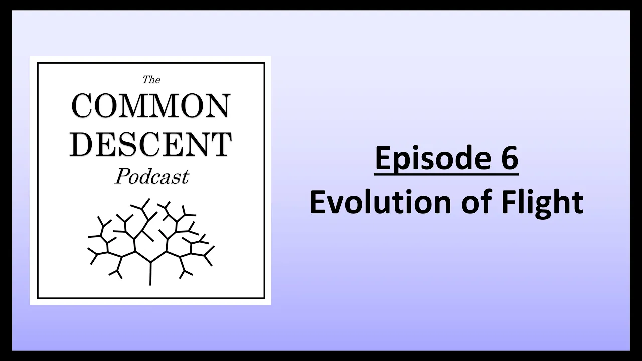 Episode 6 - Evolution of Flight