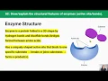 Enzymes 4 in 2 4 Series