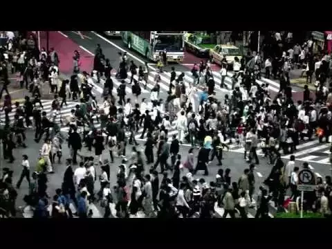 Human Harvest Official Trailer