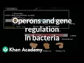 Operons and gene regulation in bacteria