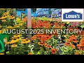 August Clearance at Lowe s Garden Center Late Season Plants