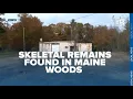 Skeletal remains found in Maine woods not of missing Kim Moreau father says