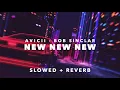 Avicii & Bob Sinclar - New New New (Slowed + Reverb)