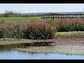Sweetwater Wetlands Park Florida