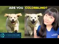 YOU May Be Color Blind and Not Know It Color Blindness Test