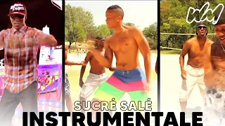 logobi gt sucr sal instrumentale