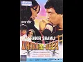 Ham banjaron ki baat (sonic jhankar)