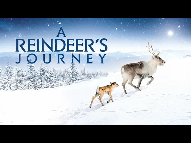 A Reindeer's Journey - Official Trailer