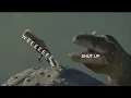 If Dinosaurs in Prehistoric Planet Had Subtitles 6