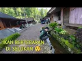 Lagu Suasananya Seperti Jaman Dahulu !! Perjalanan Ke Kampung STAMPLAT GIRANG Indragiri