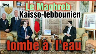 Download Le Maghreb Keisso-tebbounien tombe à l'eau 24h après sa mise bas à tunis par le régime des caporaux MP3