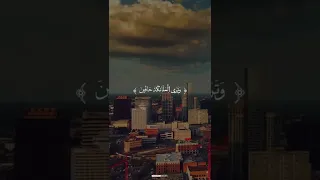 وترى الملائكة حافين من حول العرش الشيخ محمود الشحات انور 