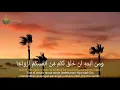 Download Lagu Surah Ar-Rum ayat 21 | Sangat Merdu Bikin Baper | Ahmad Fauzi Imam Muda Masjid Abbas Panyawangan