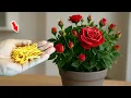Download Lagu Gooi het niet weg! Het laat de roos wortel schieten, ontkiemen en bloeien als een gek!