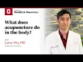 What does acupuncture do in the body Ohio State Medical Center
