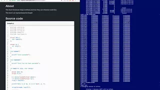 protostar heap0 https exploit-exercises com solution
