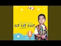 Download Lagu Cit Cit Cuit