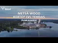 Metsä Woodin Punkaharjun tehdas valmistaa Kerto® LVL