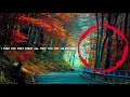 Nora Van Elken - Missing You Lyrics - Lyric video ft. Zack Grayo