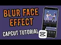 Lagu Capcut 101: How to Blur Face/Video on CapCut