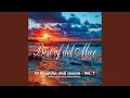 Download Lagu Best of Del Mar Vol.7 - Continuous Mix