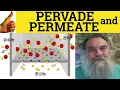 Pervade and Permeate - Pervade Meaning