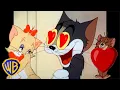 Lagu Tom \u0026 Jerry | The Search for Love! ❤️ | Valentine's Day  | Classic Cartoon Compilation | WB Kids​