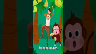 دادي مونكي بيبي شارك 