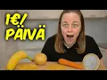 Download Lagu Selviänkö päivän ruuista vain yhdellä eurolla?