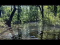 Arrowhead Hunting Summer 2026 - Unreal Missouri Arrowheads
