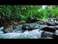 Download Lagu Natural Gentle Stream Water ASMR Sound For Meditation And Relaxation