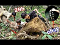 Download Lagu Theo Dấu Q.U.Á.I V.Ậ.T Khi 29H SINH TỒN Trên Đỉnh Núi Cao | Sang Vlog