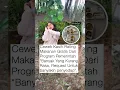 Download Lagu #shorts #shortsfeed #trending #shortvideo #short #fyp