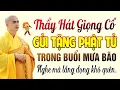 Lagu Thầy Minh Thiền Hát Giọng Cổ Gửi Tặng Phật Tử Trong Buổi Mưa Bão – Nghe Mà Lắng Đọng Khó Quên