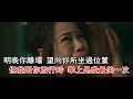 衛蘭 Janice Vidal - The Best Version Of Me DIY KTV 伴奏