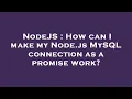 NodeJS How can I make my Node js MySQL connection as a promise work
