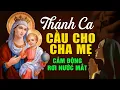Lagu Nhạc Thánh Ca Hay Nhất, CẦU CHO CHA MẸ - Tuyệt Đỉnh Thánh Ca Cầu Cho Cha Mẹ Cảm Động Rơi Nước Mắt