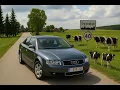 Download Lagu █▬█ █ ▀█▀ Crazy Natalia - Szalona miłość