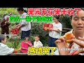 Download Lagu 种了几年的果园，终于收获了村里稀有的无花果，村里老人一辈子没有吃过，送他们时感动的哭了