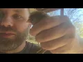 More Chicks - Ameraucanas and Olive Eggers