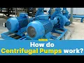 How do Centrifugal Pumps Work? | Skill-Lync Mp3 Song Download