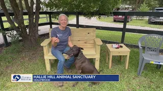Clear the Shelters Hallie Hill Animal Sanctuary participates in CTS initiative