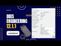 Download Lagu Installation ODIS Engineering 12.1.1 Lastest VAS5054 On Windows 10 Audi VW Seat Skoda