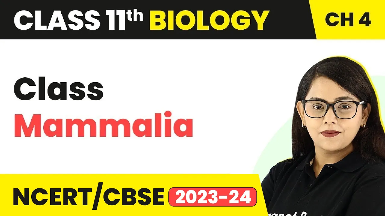 Class Mammalia - Animal Kingdom | Class 11 Biology
