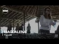 Download Lagu Magdalena Boiler Room Tulum DJ Set