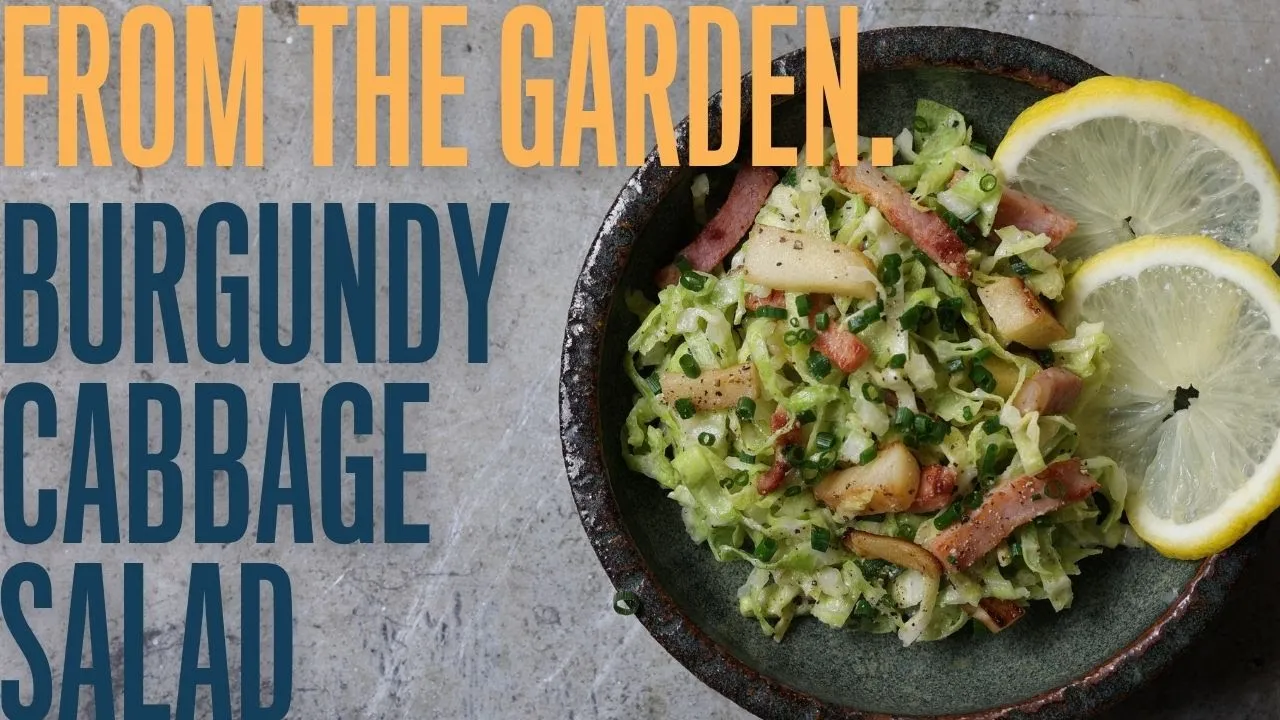 Burgundy style cabbage salad with apple and bacon