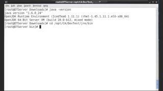 Checking Linux Java Version for DevTest Solutions 10 0