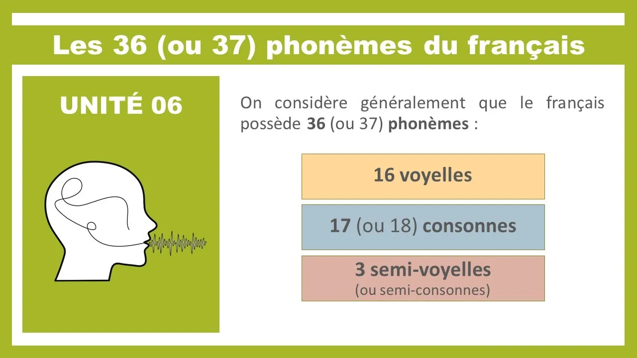 06/Phonétique : les voyelles et les consonnes du français